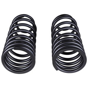 Atsperes OLD MAN EMU 3342