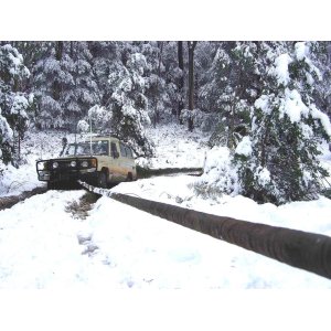 Vilkšanas strope BUSHRANGER Black Snake 8t/ 10m