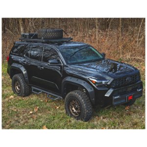 Nerf steps Rough Country