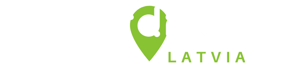Self Drive Latvia logo